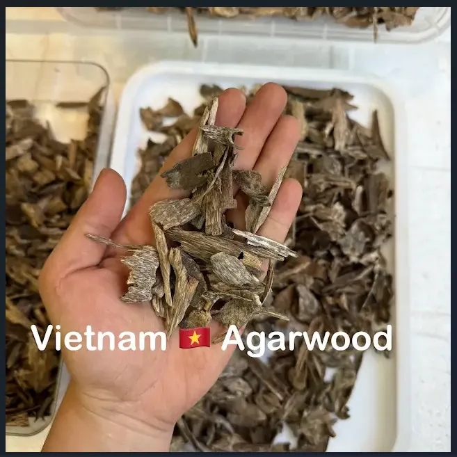 Premium Vietnamese Natural “Kien” Agarwood Chips – High-Oil Oud Pieces for Home &amp; Ritual Use